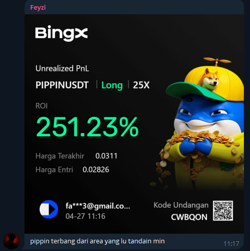 Feyzi PIPPIN PNL